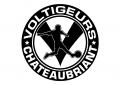 Logo voltigeurs foot 01 01